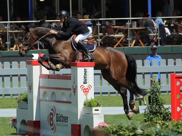 特想表达的 特想表达的