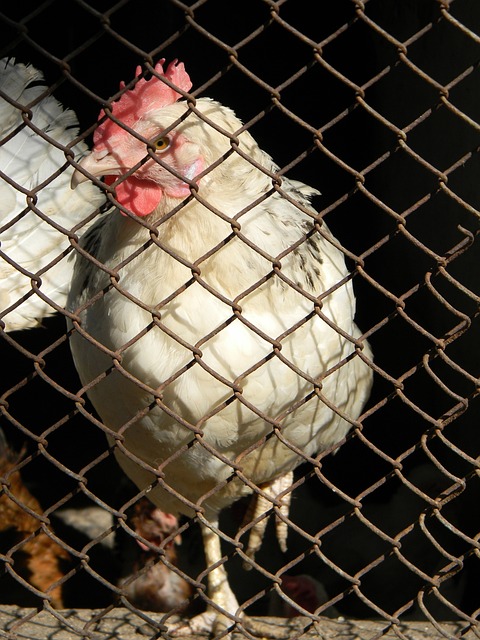 并分析其对 并分析其对