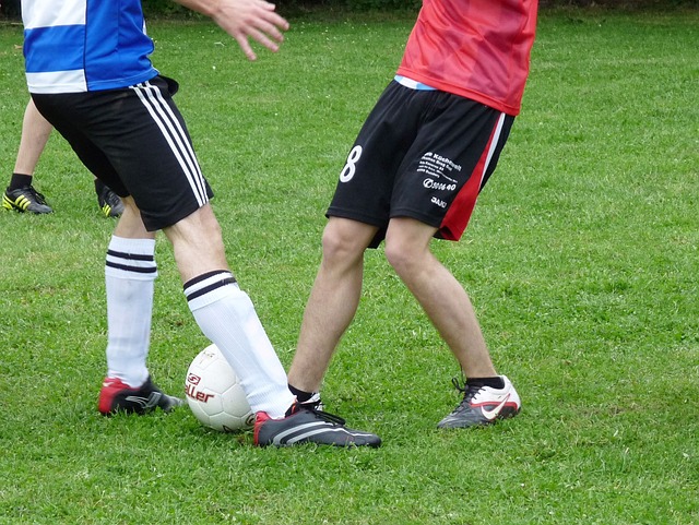 亮点在于其 亮点在于其