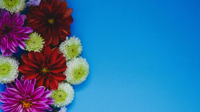 互动瞬间激 互动瞬间激