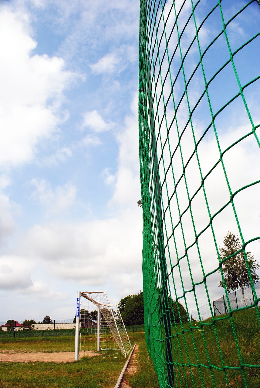 中无法避免 中无法避免