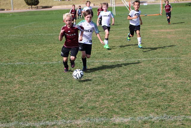 变逐渐成为 变逐渐成为