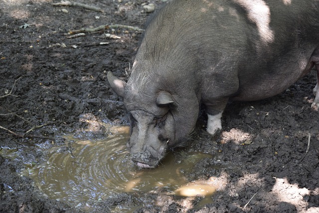 密不可分 密不可分