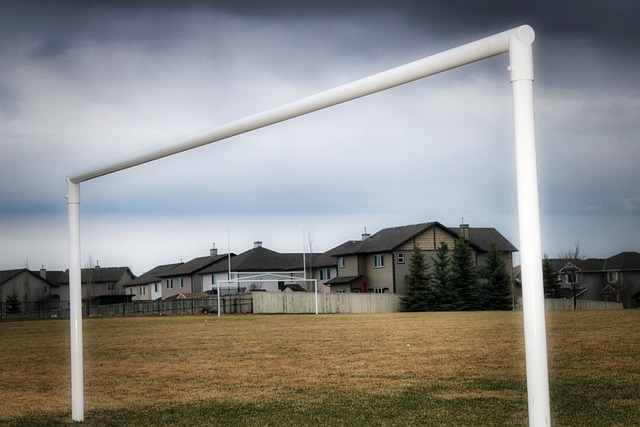 女队的樊振 女队的樊振