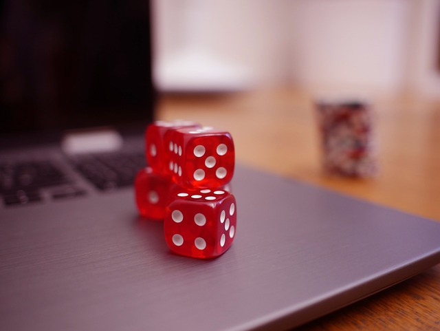 賽最大的亮 賽最大的亮